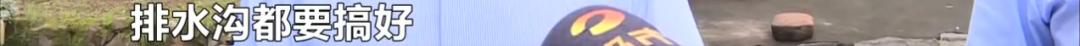 DƬ